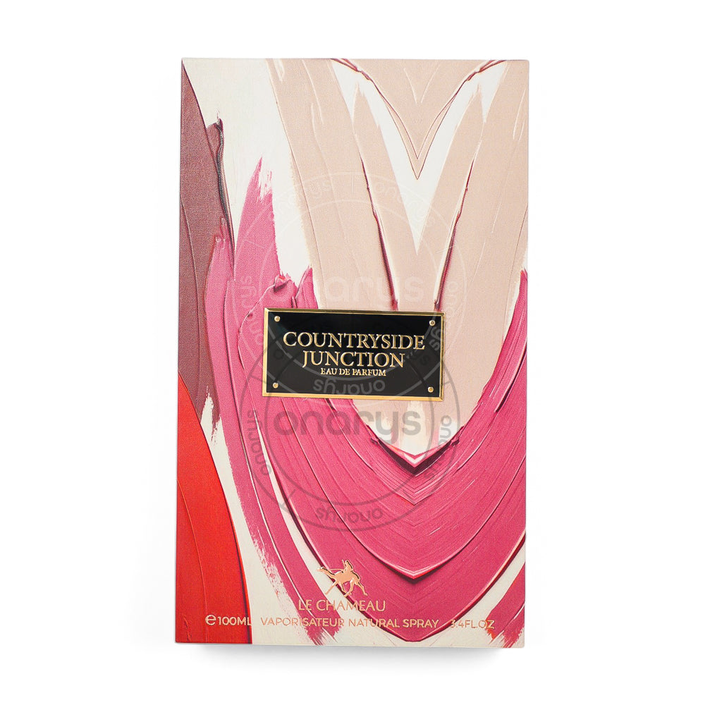 LECHAMEAU COUNTRYSIDE JUNCTION  MEN 3.4 OZ EDP SP | wmafusion:6294021906944