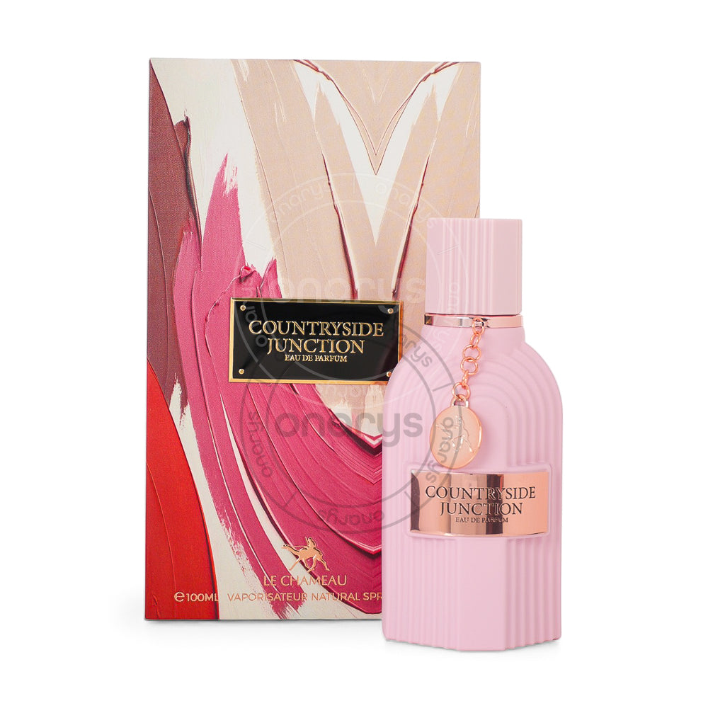 LECHAMEAU COUNTRYSIDE JUNCTION  MEN 3.4 OZ EDP SP | wmafusion:6294021906944